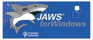 JAWS screen reader.